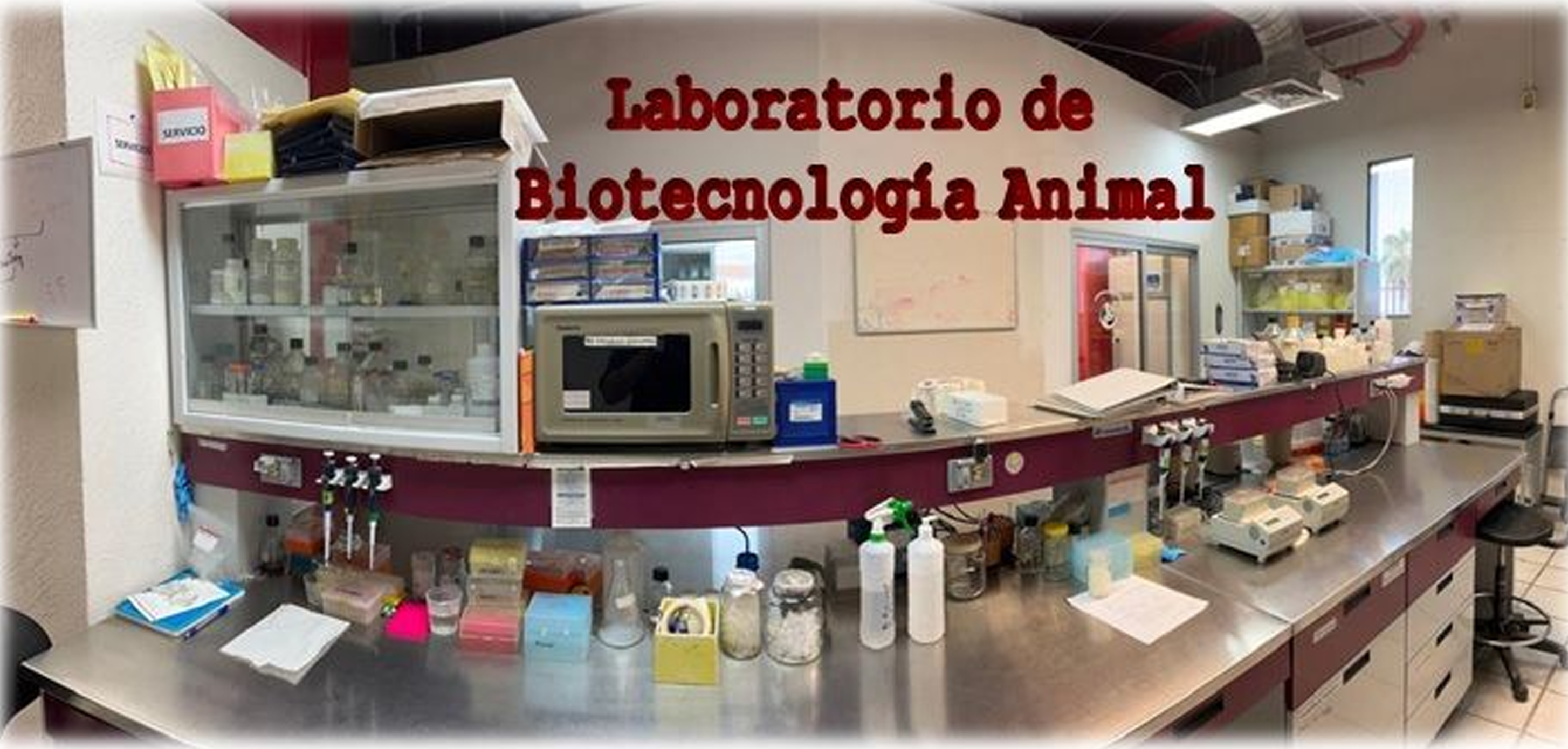 Foto Laboratorio