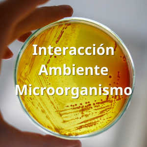 Interacción Ambiente