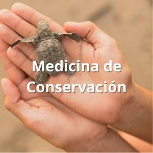 Medicina de Conservación