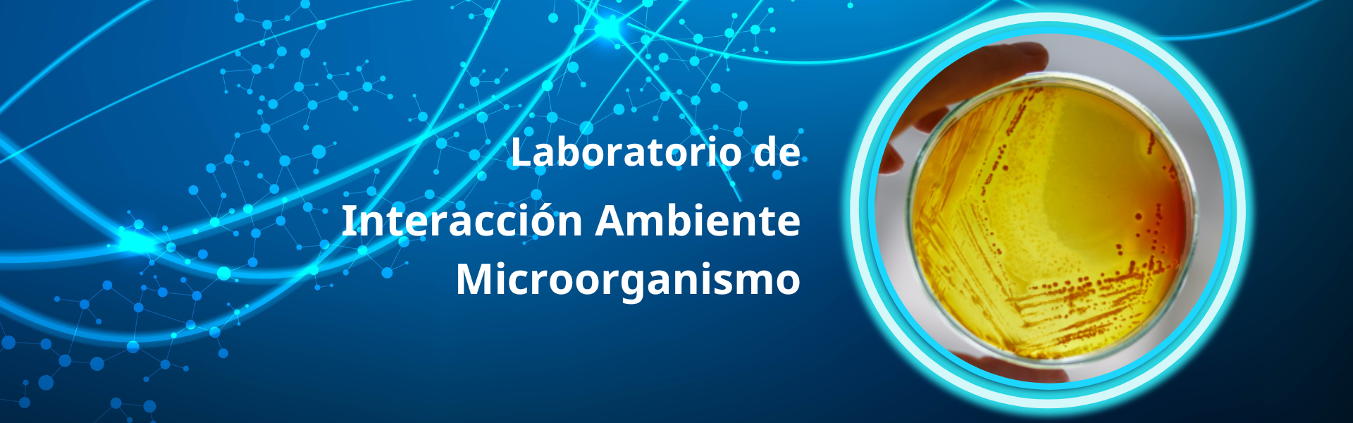 Banner Interacción Ambiente