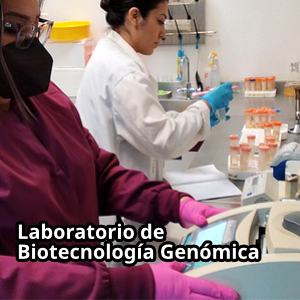 Lab Bio Genomica.png