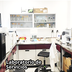 Lab de servicios.png