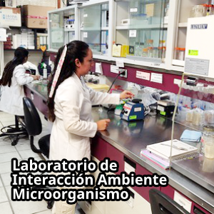 Lab Interacción Ambiente.png