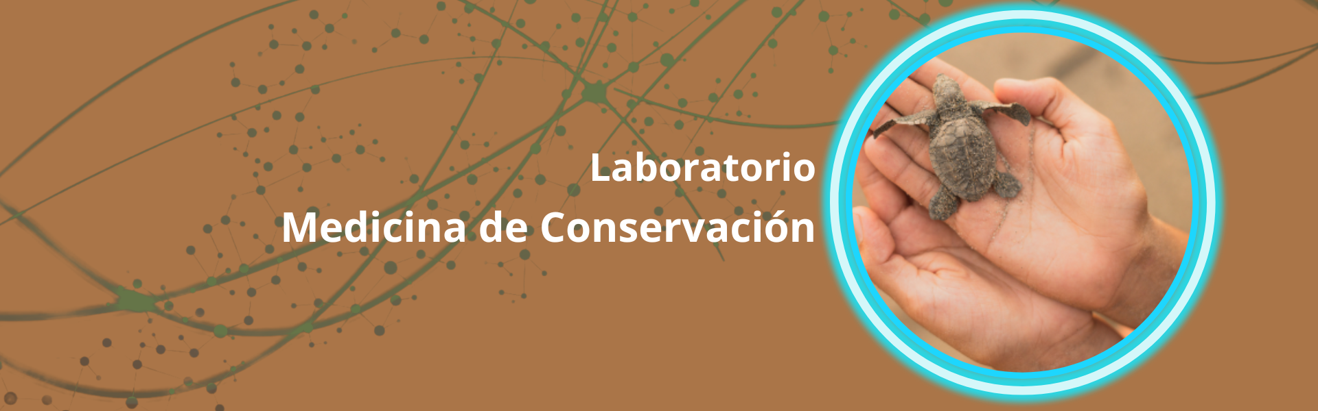 Banner Conservación